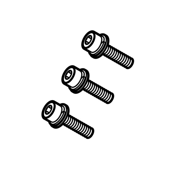 Shindaiwa V202000290 - Bolt Spw M4x14 (Original OEM part) - ID-02925