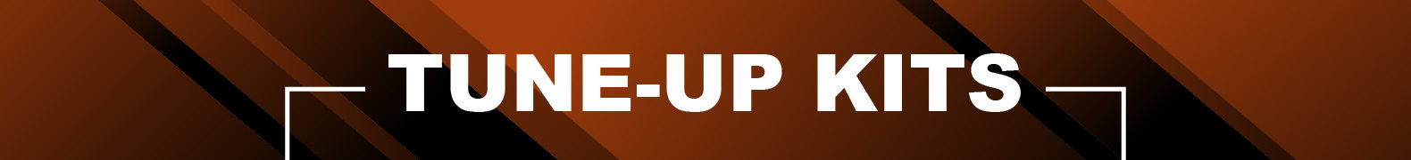 Tune-up Kits