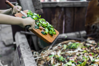 The Importance of Composting and Its Benefits to The Lawn and Garden The Importance of Composting and Its Benefits to The Lawn and Garden