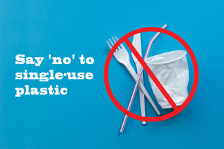 Single-Use Carryout Bag Ban (SB 270) - CalRecycle Home Page