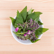 Comfrey: An Ancient Herbal Secret for Radiant Skin