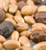Argan Oil | CARRIER OILS