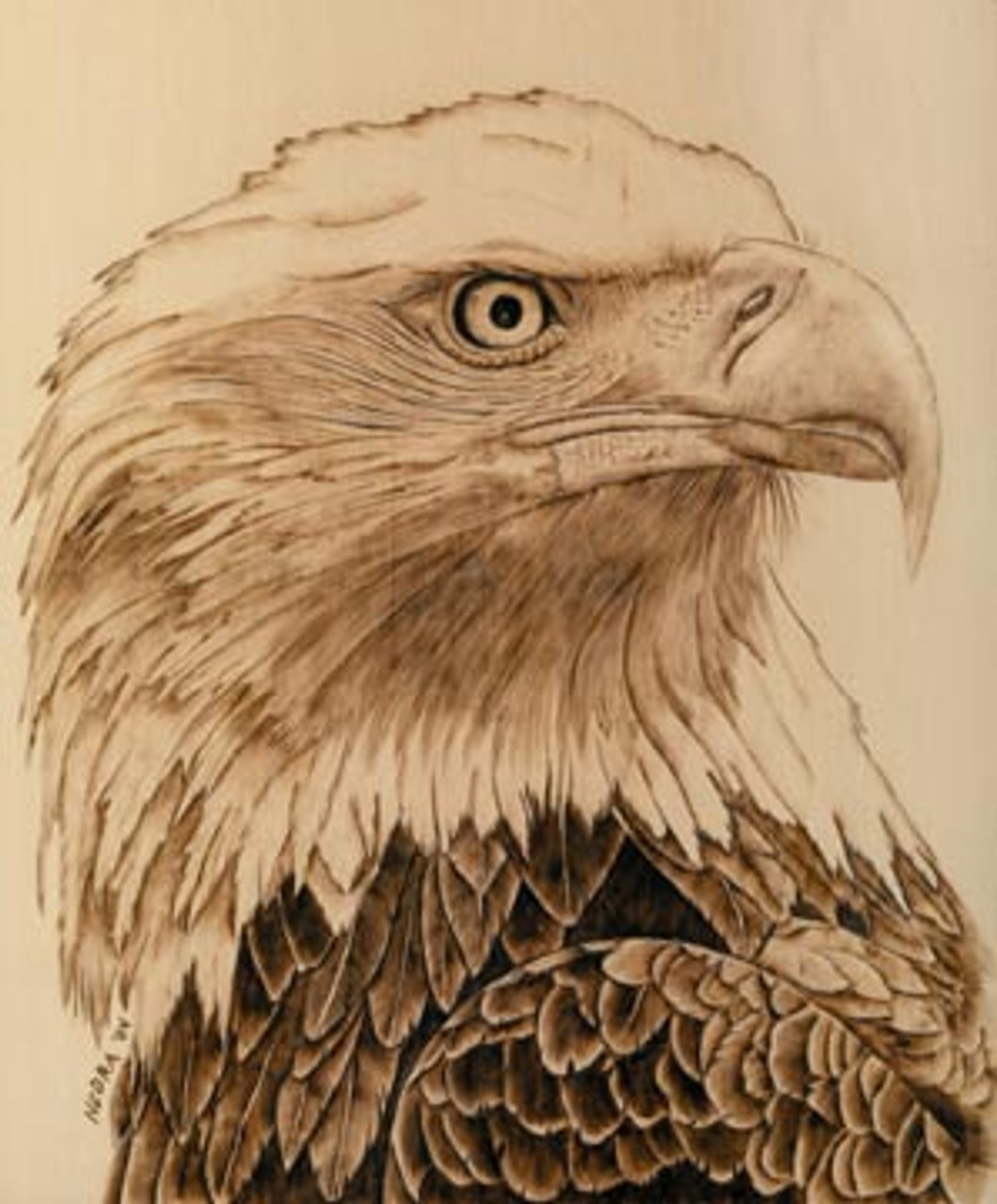 Pyrography Wood burning Eagle Head Bird Pattern Printable Stencil Instant  Download Pyro…