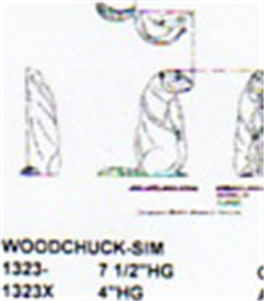 Woodchuck Setting Up 7 1/2" High