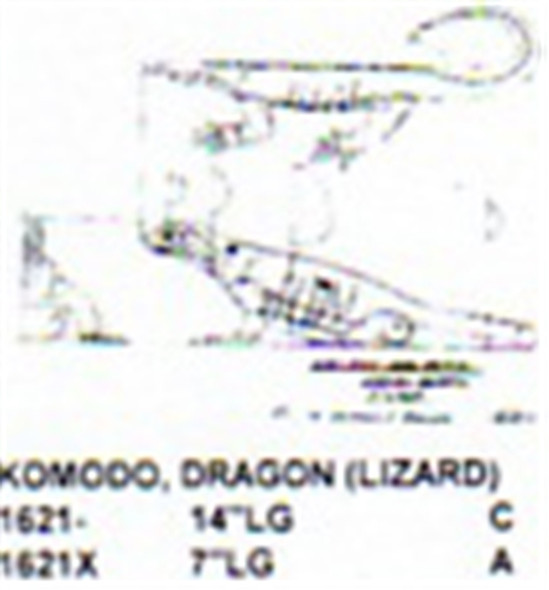 Komodo Dragon - Lizard Walking 7" Long