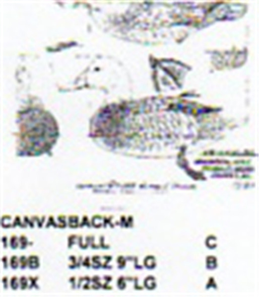 Canvasback Resting On Water Carving Pattern showing the male Canvasback duck in three different sizes from Stiller.