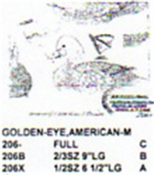 American Golden Eye Resting On Water Carving Pattern showing the male Golden Eye Stiller pattern.