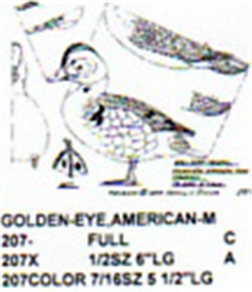 American Golden Eye Standing Carving Pattern showing the Stiller pattern of the male Golden Eye.