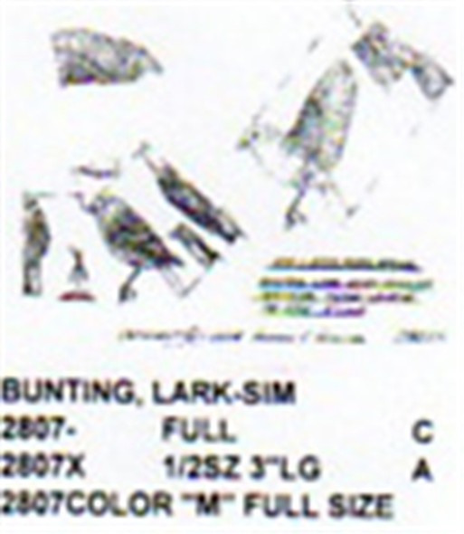 Lark Bunting