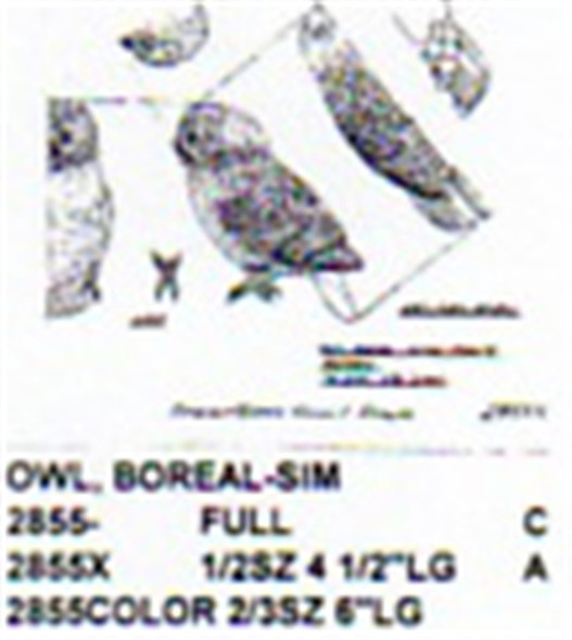 Boreal Owl Carving Pattern