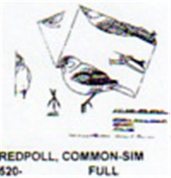 Common Redpoll Perching Carving Pattern showing the Redpoll in a perching posture.
