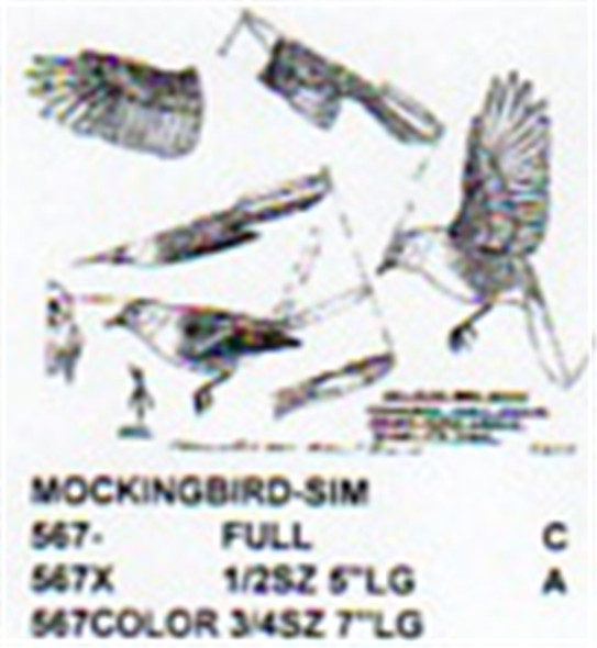 Mockingbird Perching/Flying/Landing Pattern