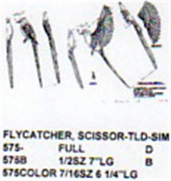 Scissor Tailed Flycatcher Perching/Flying/Landing