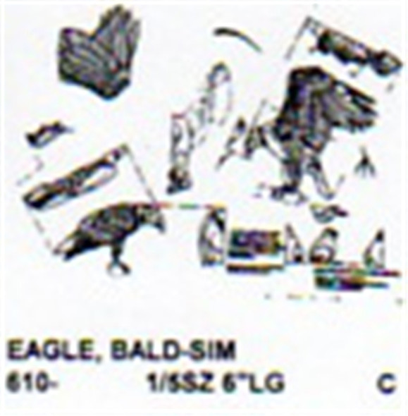 Bald Eagle Family Perching Carving Pattern showing two adult Eagles and a baby chick.