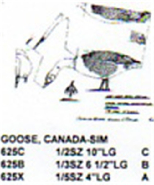 Canada Goose Feeding 1/3 Size