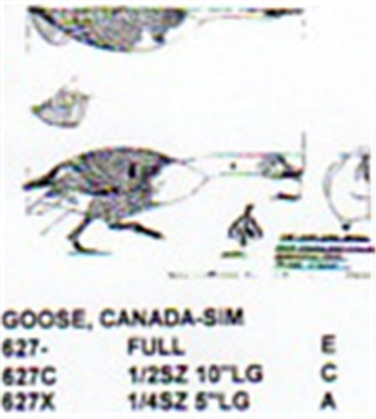 Canada Goose Aggressive Pose