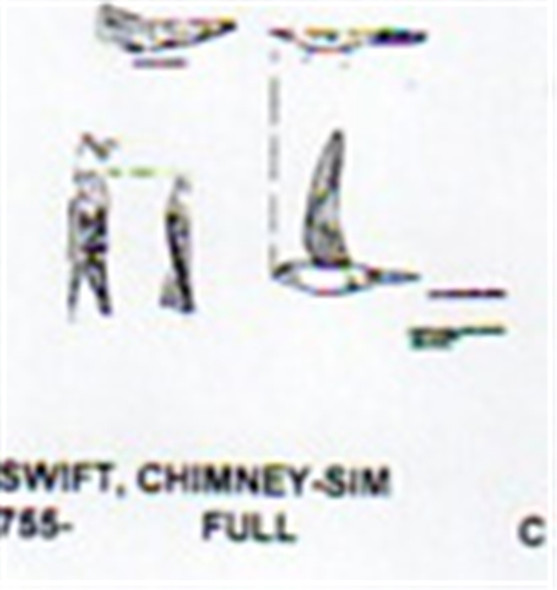 Chimney Swift Flying/On Wall