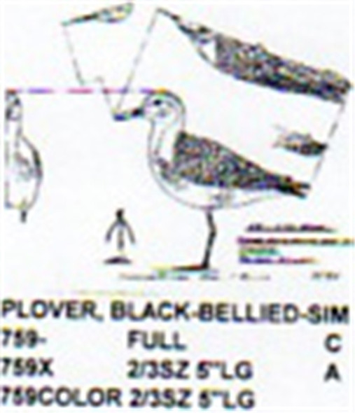 Black Bellied Plover Standing 1/2 Size