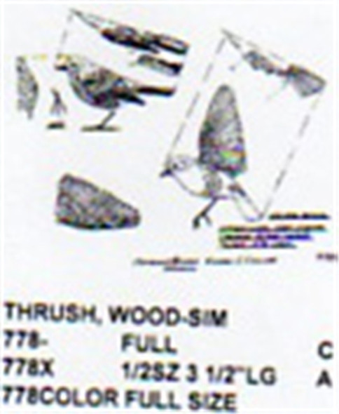 Wood Thrush Perching/Flying/Landing 1/2 Size