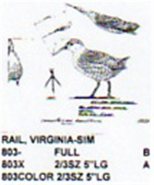 Virginia Rail Walking 2/3 Size