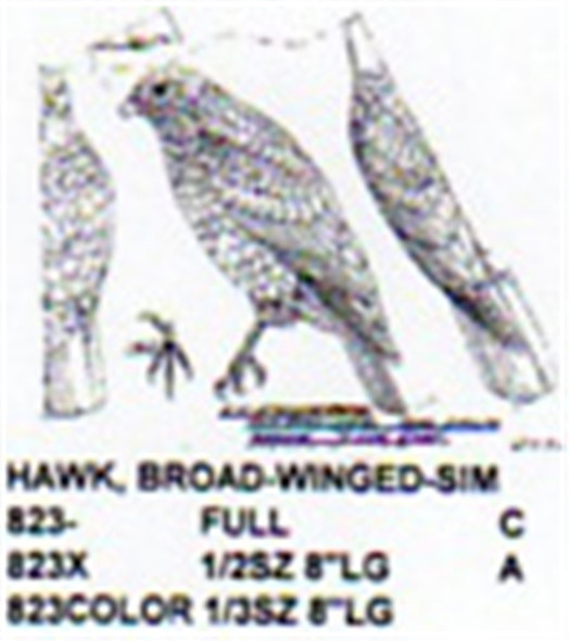 Broad Winged Hawk Perching Carving Pattern showing the front, side and top profile of the perching hawk.