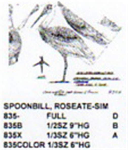 Roseate Spoonbill Standing 1/3 Size