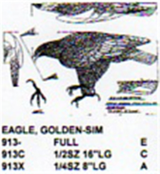 Golden Eagle Standing