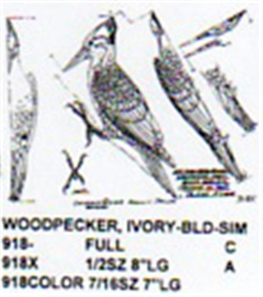 Ivory Billed Woodpecker 1/2 Size