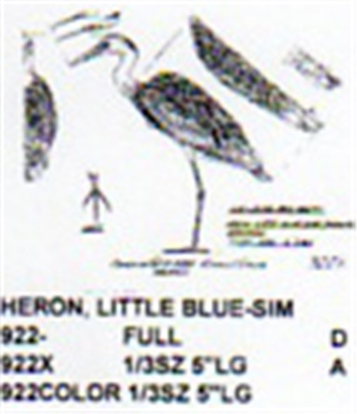 Little Blue Heron Standing