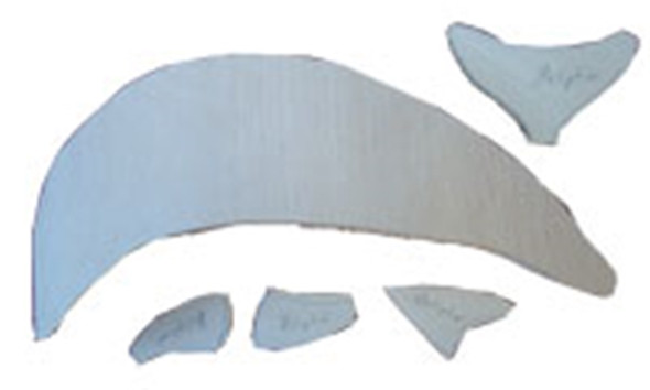 Bottlenose Dolphin Basswood Cutout