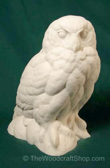 Snowy Owl Guge Study Cast showing a frontal view of the owl