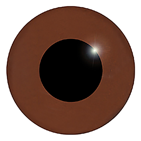 A straight on view of the front of a medium brown glass eye showing the black pupil.