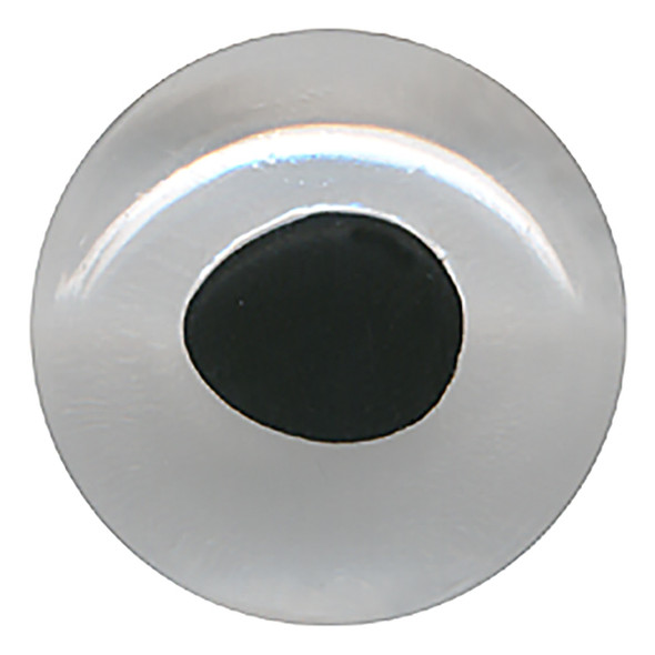 A straight forward view of a clear fish eye with a black aspheric pupil.