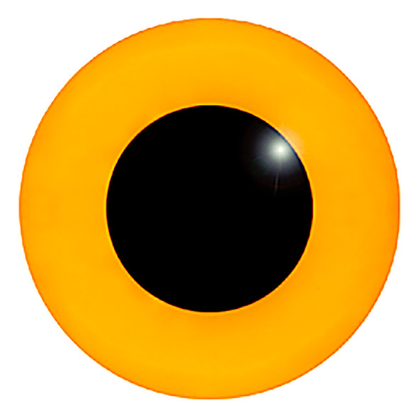 A straight on view of the front of a straw glass eye showing the black pupil.