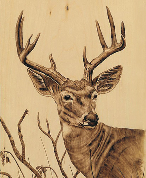 This Deer Woodburning plan has a big buck with antlers and branches in the background.