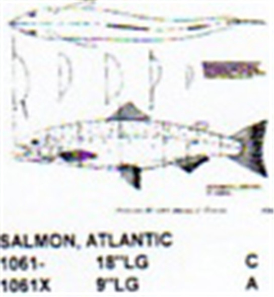 Atlantic Salmon Mouth Open 9" Long