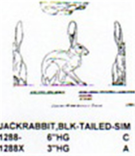 Black Tailed Jackrabbit Setting Up 3" Long