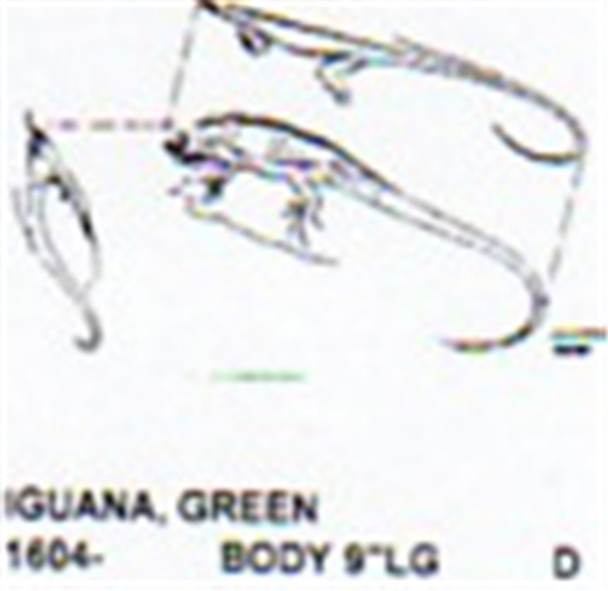 Green Iguana On Log