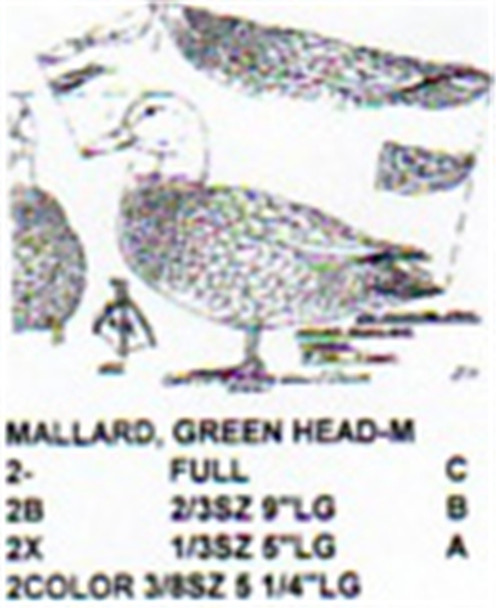 Green Head Mallard Male Standing Carving Pattern shows the full size  Green Head Male Mallard carving pattern.
