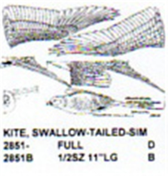 Swallow Tailed Kite Flying-Soaring