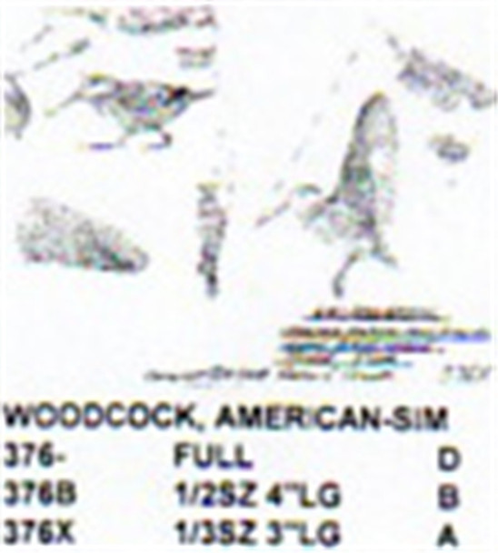 American Woodcock Carving Pattern showing the Stiller patterns of the American Woodcock in two different positions.