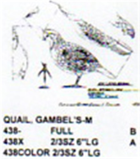 Gambel's Quail Standing Carving Pattern showing the male quail in a standing position.
