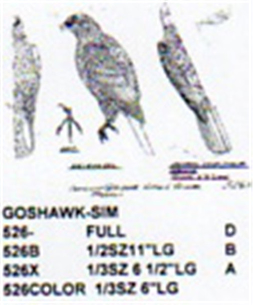 Goshawk Perching Carving Pattern shows the front and side profile of the hawk.