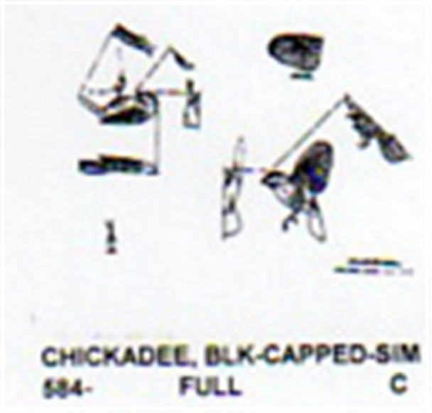 Black Capped Chickadee Landing Carving Pattern showing the Songbird in two different positions.