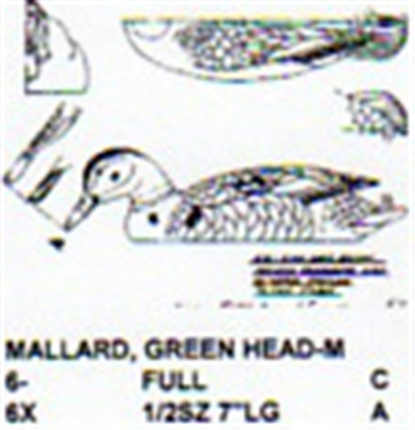 Green Head Mallard Male Resting On Water/Feeding showing the full size plan.