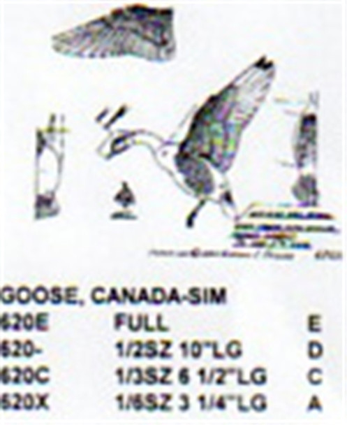Canada Goose Flying-Landing 1/2 Size