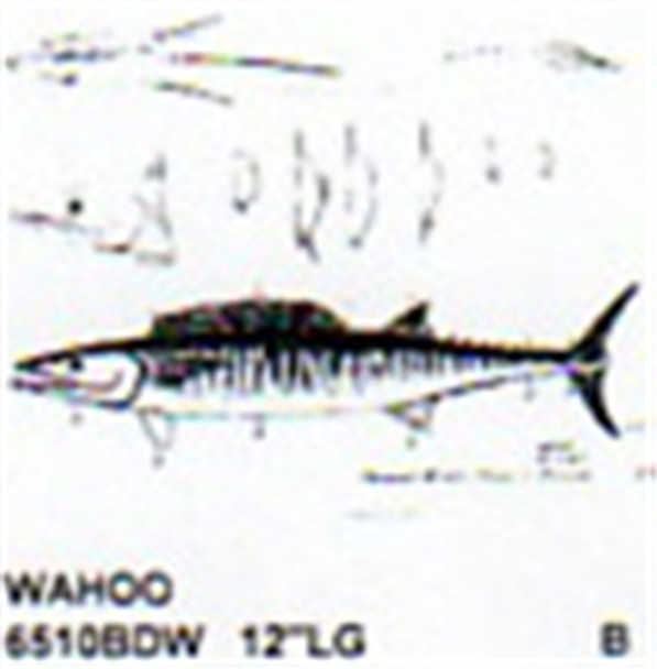 Wahoo Mouth Slightly Open 12"Long Color