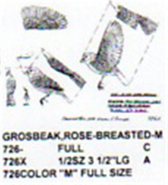 Rose Breasted Grosbeak Perched/Flying/Landing Male Color