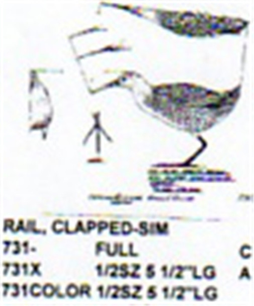 Clapper Rail Standing