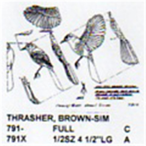 Brown Thrasher Perching-Flying-Landing 1/2 Size